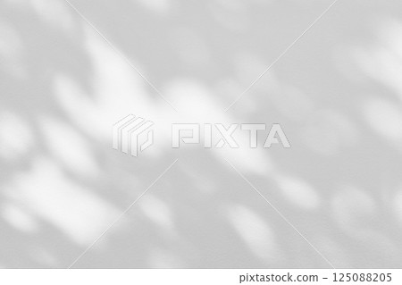 White Concrete Wall Texture Background with Light Bokeh and Shadow of Tree Branch on the Surface. 125088205