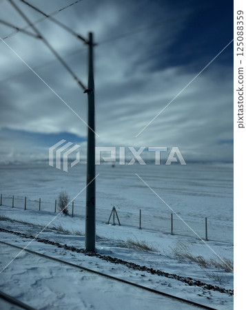 horses in the stable and in the paddock on a walk. High quality photo 125088359