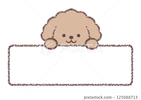 Toy poodle and horizontal frame Toy poodle and horizontal frame 125088713