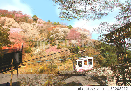 世界遺產：吉野山櫻花盛開與纜車 125088962