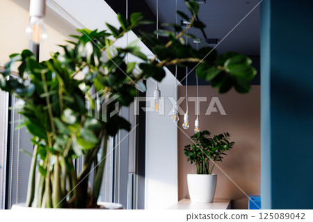 Inviting office space with green plants and ambient lighting enhancing productivity and comfort 125089042