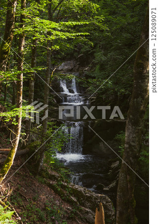 Discovering the enchanting beauty of a hidden waterfall in Germanys lush forest 125089071