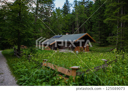 Nestled in nature, a tranquil mountain house amidst lush greenery and towering trees 125089073