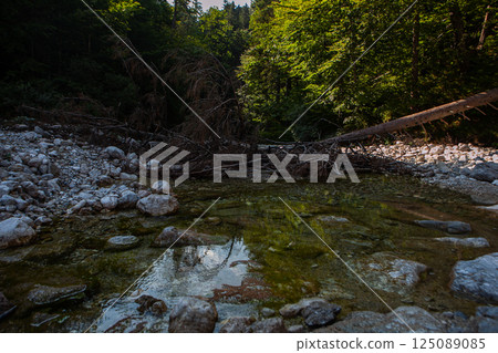 Exploring the tranquil riverbed near Neuschwanstein, a serene escape into natures untouched beauty 125089085