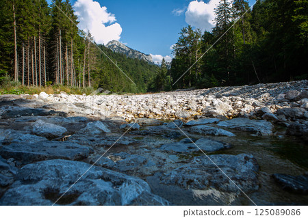 Stunning rocky riverbed near Neuschwanstein showcases natural beauty amid lush green forests and majestic mountains 125089086