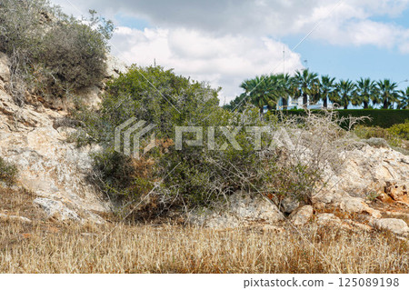Exploring the natural beauty of Levkara in Ayia Napa, Cyprus with rocky landscapes and lush greenery Exploring the natural beauty of Levkara in Ayia Napa, Cyprus with rocky landscapes and lush greenery 125089198