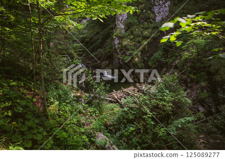 Discovering the enchanting beauty of a hidden waterfall in a lush German forest 125089277