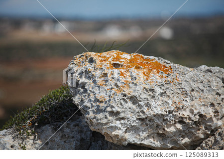 Natural beauty of lichen-covered rock in Ayia Napa, Cyprus under clear blue skies during daytime exploration Natural beauty of lichen-covered rock in Ayia Napa, Cyprus under clear blue skies during daytime exploration 125089313