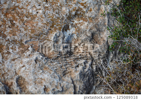 Uncovering ancient textures on coastal rocks in Ayia Napa, Cyprus under the bright summer sun Uncovering ancient textures on coastal rocks in Ayia Napa, Cyprus under the bright summer sun 125089318