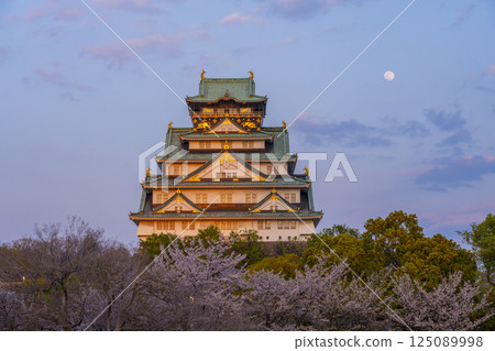 Osaka Castle tower illuminated by the setting sun during cherry blossom season 125089998