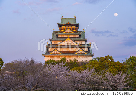 Osaka Castle tower illuminated by the setting sun during cherry blossom season 125089999