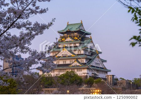 Osaka Castle tower illuminated by the setting sun during cherry blossom season 125090002