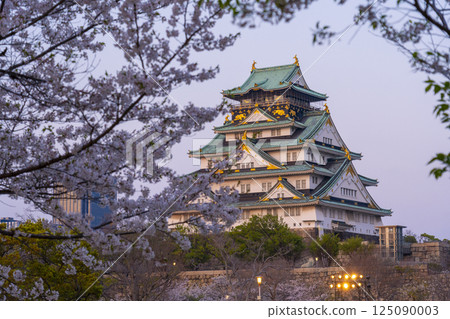 Osaka Castle tower illuminated by the setting sun during cherry blossom season 125090003
