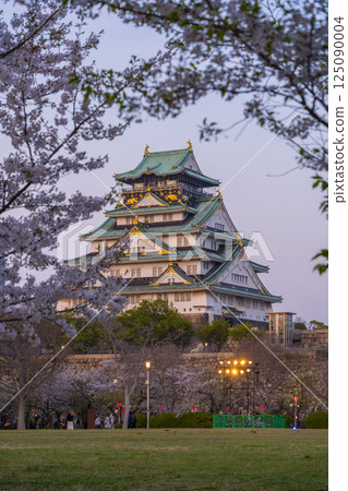 Osaka Castle tower illuminated by the setting sun during cherry blossom season 125090004