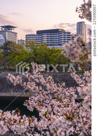 Osaka International Cancer Institute and cherry blossoms in full bloom as seen from Nishinomaru Garden 125090007