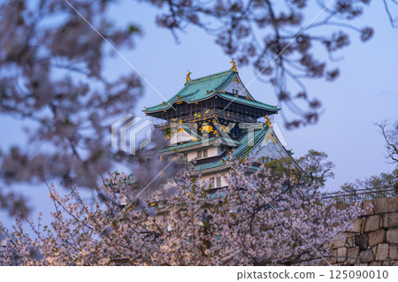 Osaka Castle tower in the twilight sky, cherry blossom season 125090010