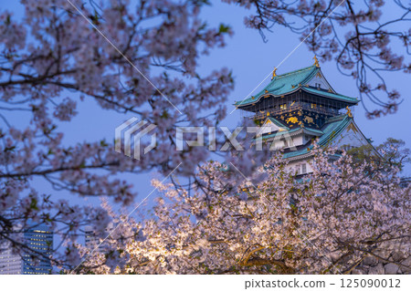 Osaka Castle Tower at night - Illuminated cherry blossoms 125090012