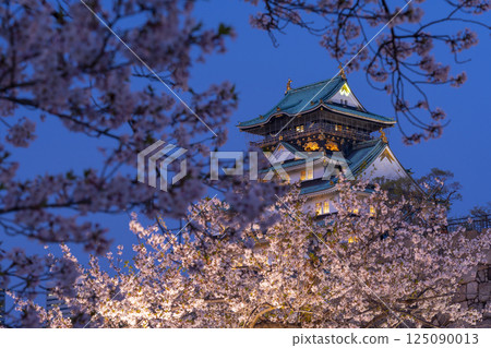 Osaka Castle Tower at night - Illuminated cherry blossoms Osaka Castle Tower at night - Illuminated cherry blossoms 125090013
