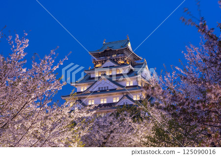 Osaka Castle Tower at night - Illuminated cherry blossoms 125090016