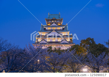 Osaka Castle Tower at night - Illuminated cherry blossoms 125090017