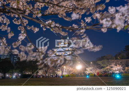 Osaka Castle Tower at night - Illuminated cherry blossoms 125090021