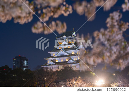 Osaka Castle Tower at night - Illuminated cherry blossoms Osaka Castle Tower at night - Illuminated cherry blossoms 125090022