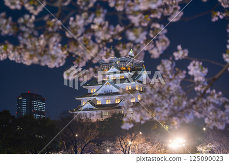 Osaka Castle Tower at night - Illuminated cherry blossoms Osaka Castle Tower at night - Illuminated cherry blossoms 125090023