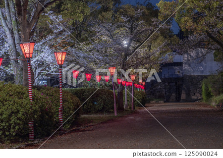 西之丸庭園的夜晚：燈籠照亮的櫻花 125090024