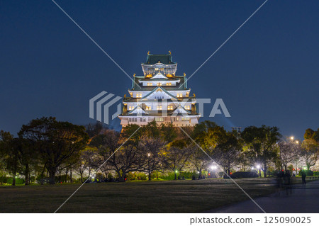 Osaka Castle Tower at night - Illuminated cherry blossoms 125090025