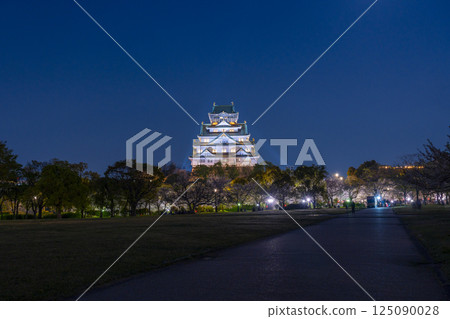 Osaka Castle Tower at night - Illuminated cherry blossoms 125090028