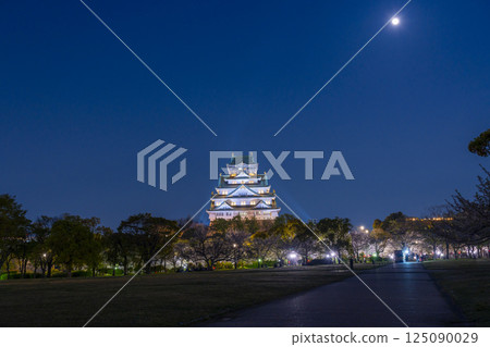 Osaka Castle Tower at night - Illuminated cherry blossoms Osaka Castle Tower at night - Illuminated cherry blossoms 125090029