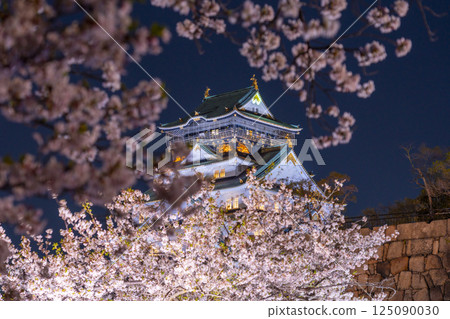 Osaka Castle Tower at night - Illuminated cherry blossoms 125090030