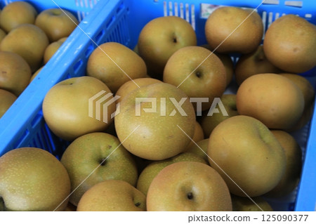 No garden No garden 125090377