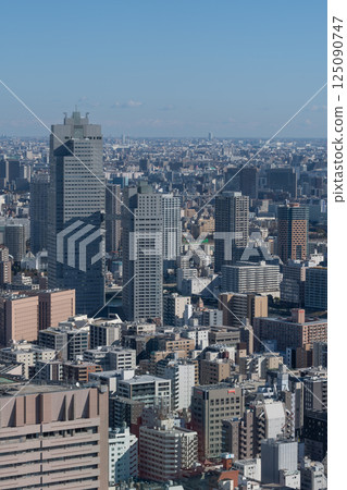 風景在從摩天大樓看的城市的中心 風景在從摩天大樓看的城市的中心 125090747