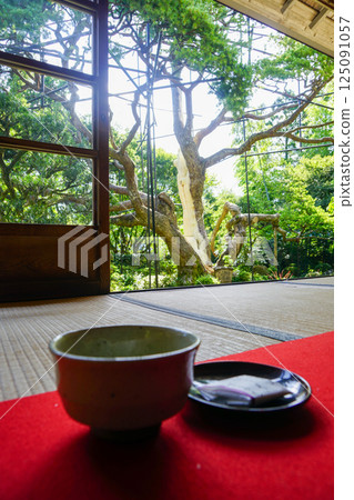 Japanese-style room with greenery Japanese-style room with greenery 125091057