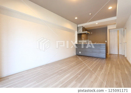 Newly built apartment living/dining room Newly built apartment living/dining room 125091171