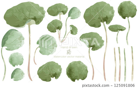 A set of watercolor butterbur materials A set of watercolor butterbur materials 125091806