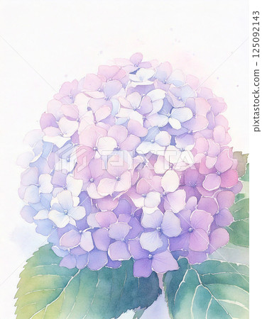 繡球花夏季 AI 生成的背景 125092143