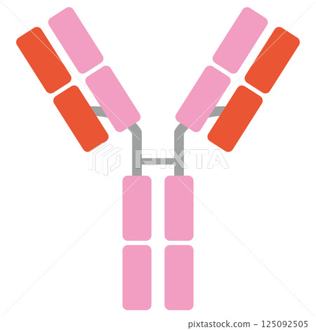 免疫球蛋白D（IgD）插圖（單品）綠色 125092505