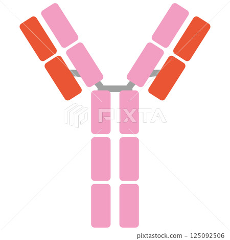 免疫球蛋白E（IgE）插圖（單品）粉紅色 125092506