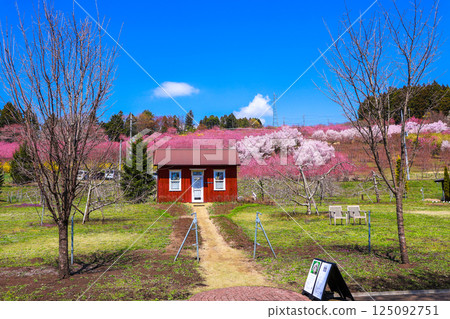 可愛的房子和桃花山 可愛的房子和桃花山 125092751