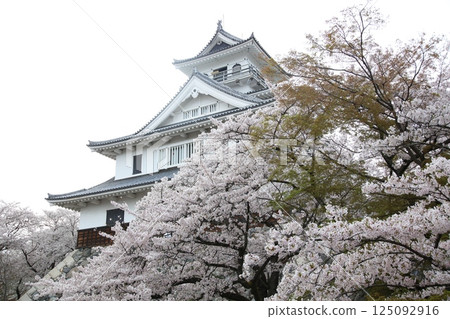 Shiga Nagahama Castle 125092916