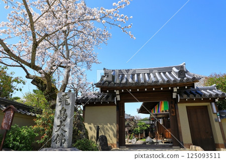 Asukadera Temple: Cherry blossoms in full bloom and the main gate Asukadera Temple: Cherry blossoms in full bloom and the main gate 125093511