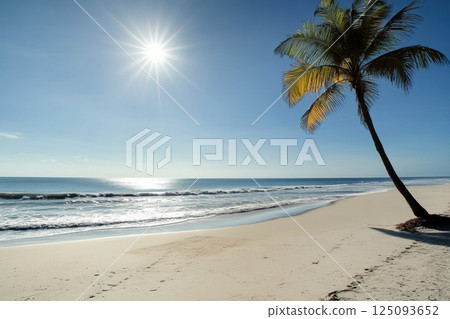 Sunny beach with palm tree under clear blue sky and tranquil ocean waves Sunny beach with palm tree under clear blue sky and tranquil ocean waves 125093652