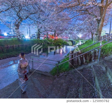 川越新河岸的櫻花盛開，漂浮著花筏，還有一位身著和服的中年婦女 125093782
