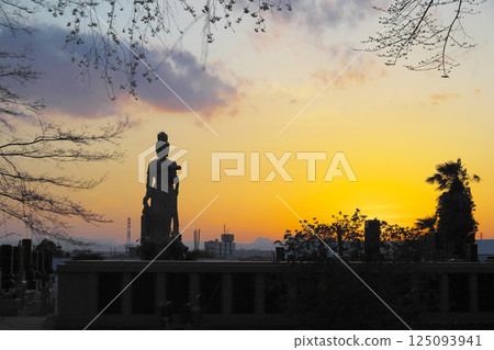 高崎市慈源寺 垂枝櫻花與夜空 高崎市慈源寺 垂枝櫻花與夜空 125093941