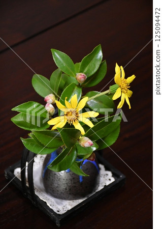 Small flower arrangement light and shadow 125094472