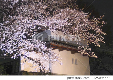 Cherry blossoms at night on the moat at Takasaki Castle Park Cherry blossoms at night on the moat at Takasaki Castle Park 125094562