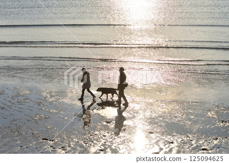 A couple walking their dog on Zaimokuza Beach in the afternoon sunshine 125094625