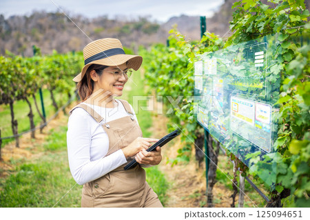 Smart vineyard system with winegrower working with digital graphic display 125094651
